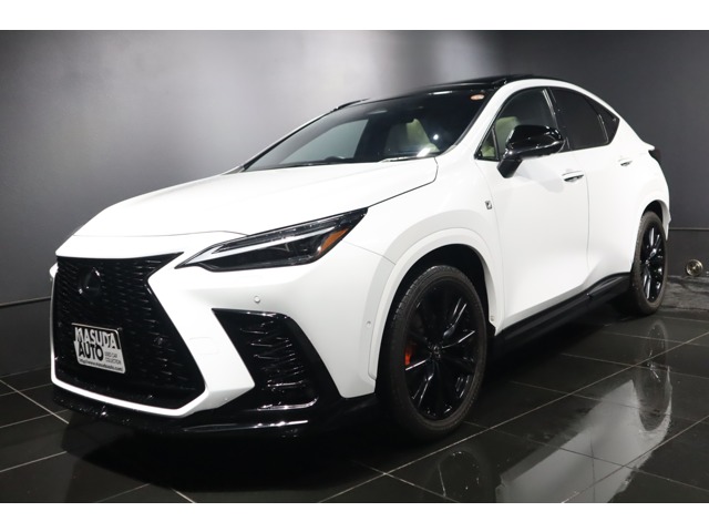 2024 Lexus NX