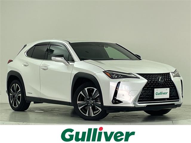 2019 Lexus UX