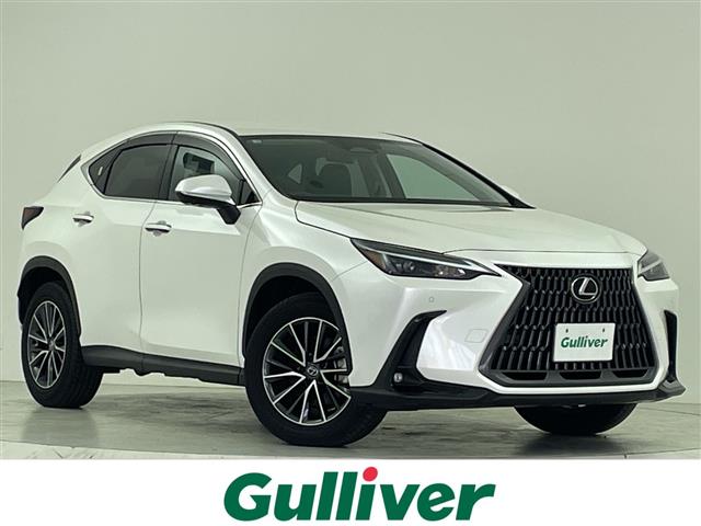 2025 Lexus NX