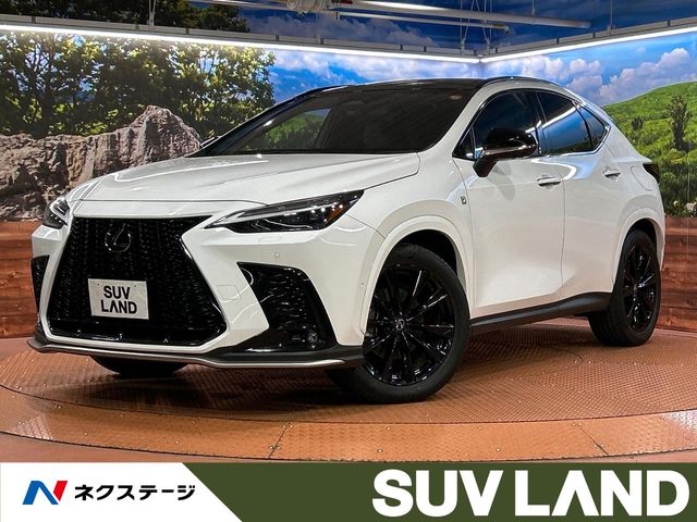 Lexus NX 1