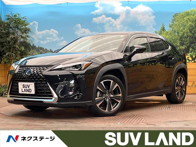 2019 Lexus UX