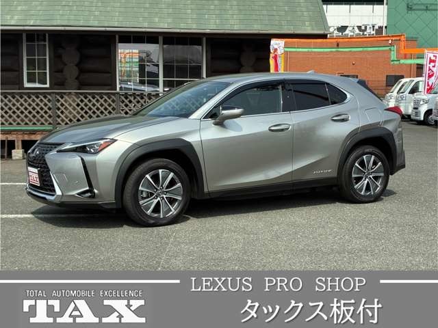 2021 Lexus UX300e