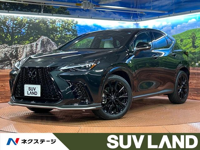 Lexus NX 1