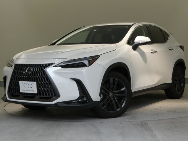 Lexus NX 1