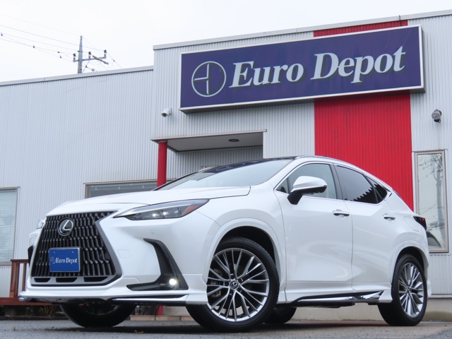 Lexus NX 1