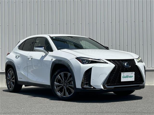 2020 Lexus UX