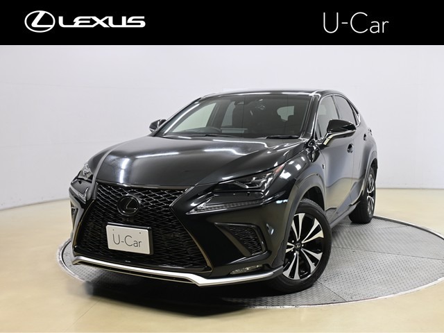 2018 Lexus NX