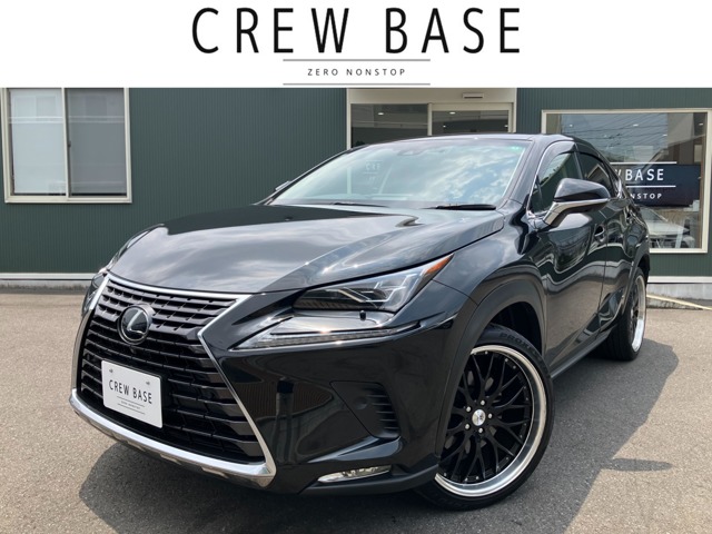 Lexus NX 1