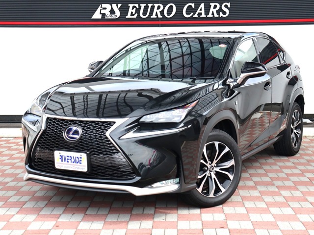 Lexus NX 1