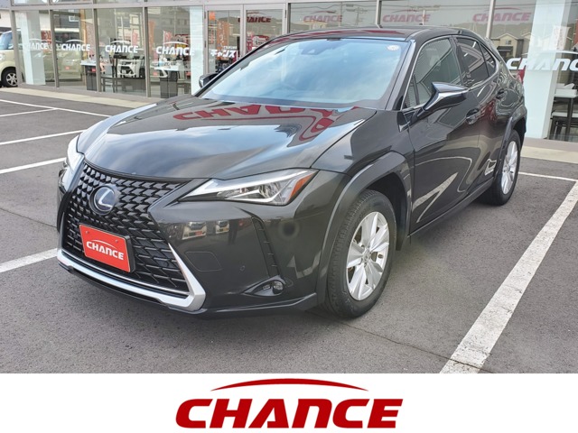 Lexus UX 1