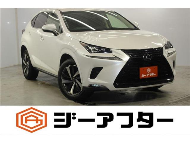 2019 Lexus NX