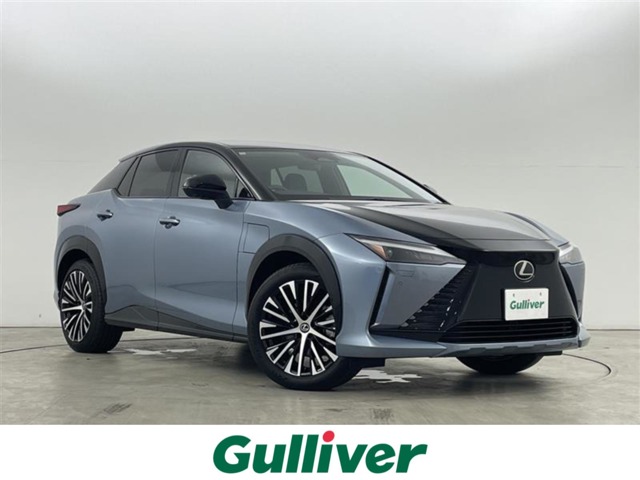 2024 Lexus RZ