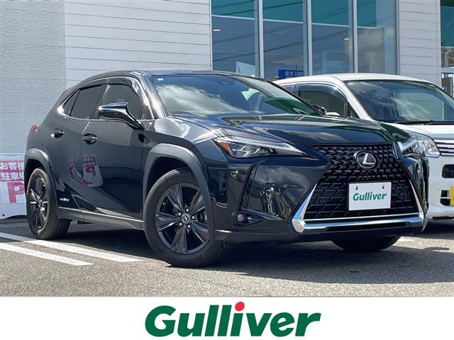 2019 Lexus UX