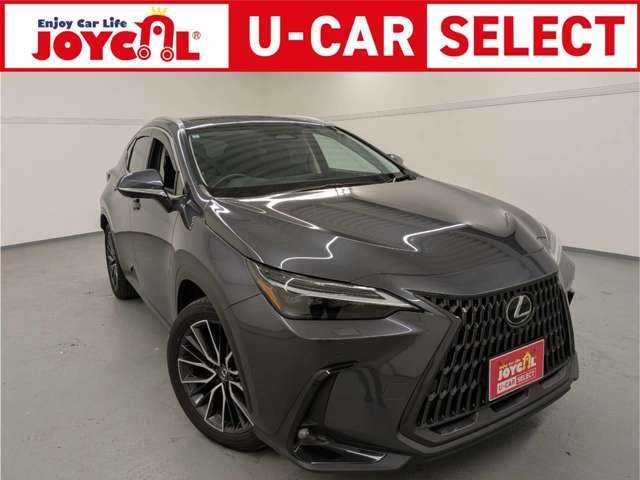 2023 Lexus NX