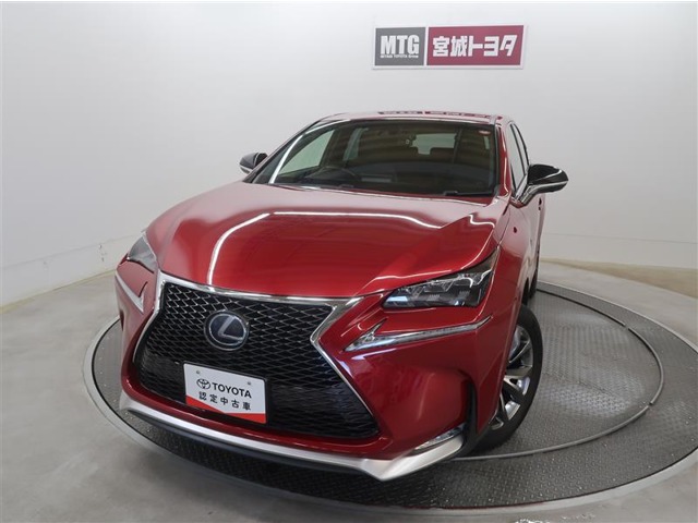 Lexus NX 1