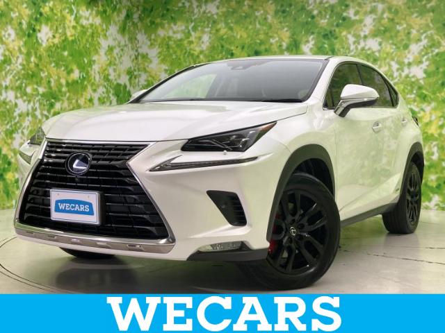 Lexus NX 1
