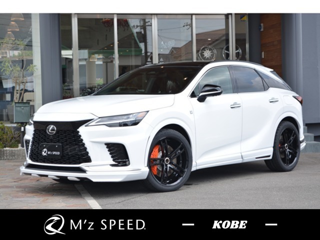2025 Lexus RX
