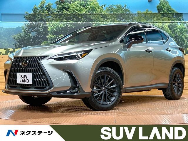 2025 Lexus NX