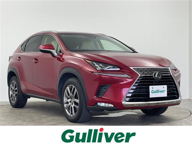 2018 Lexus NX