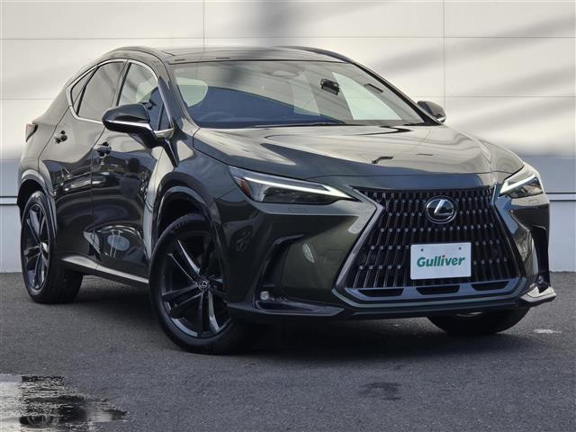2024 Lexus NX