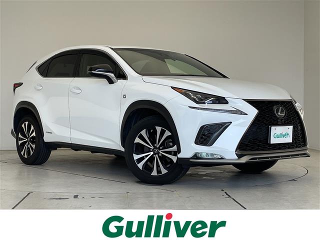 2019 Lexus NX
