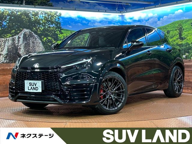 2025 Lexus LBX