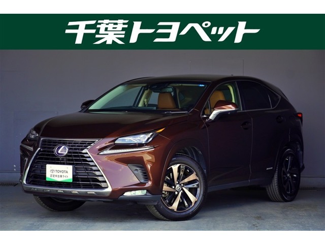 2018 Lexus NX