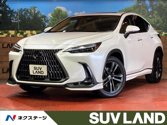 2023 Lexus NX