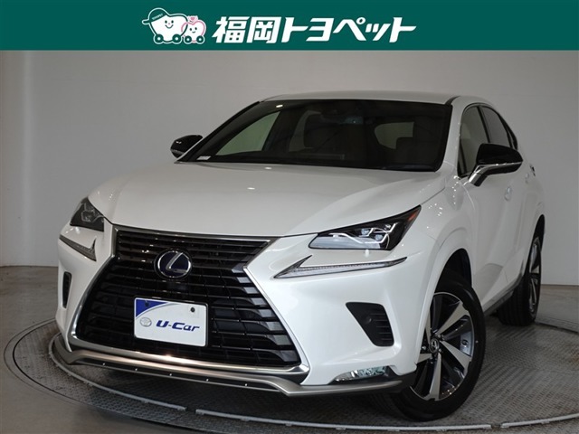 2021 Lexus NX