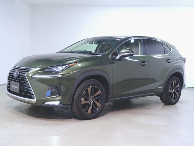 2020 Lexus NX