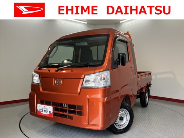 Daihatsu Hijet Truck 1