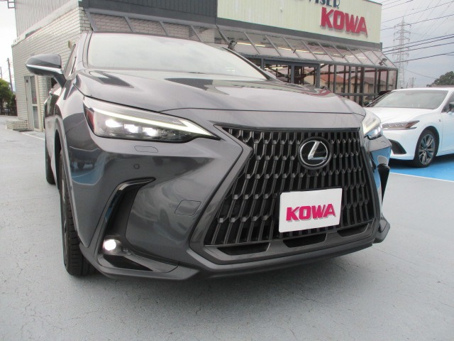 2023 Lexus NX