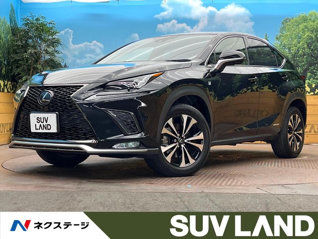 2020 Lexus NX