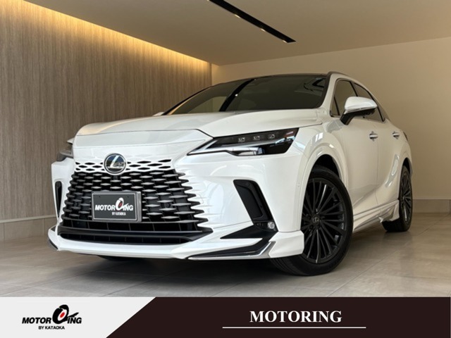 Lexus RX 1