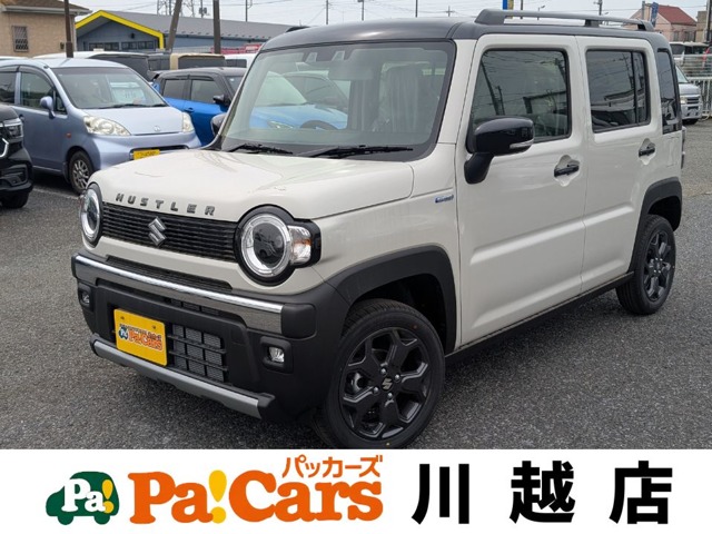 Suzuki Hustler 1