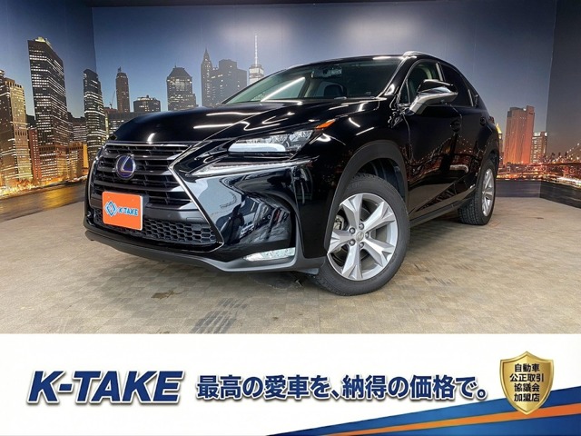 Lexus NX 1