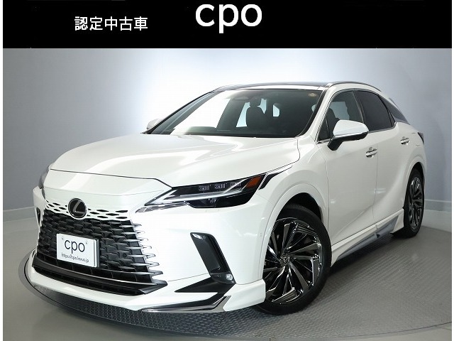 2022 Lexus RX