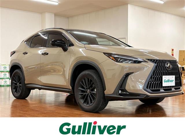 Lexus NX 1