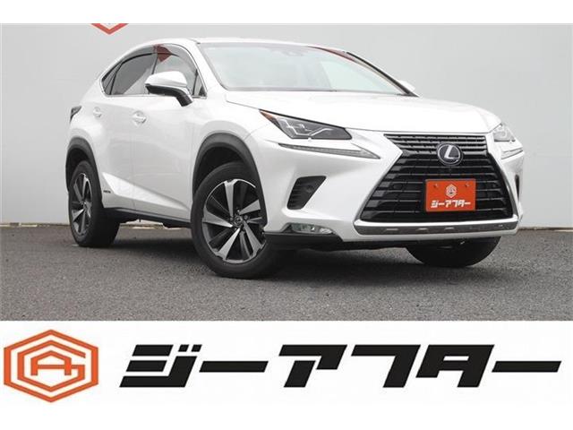 Lexus NX 1