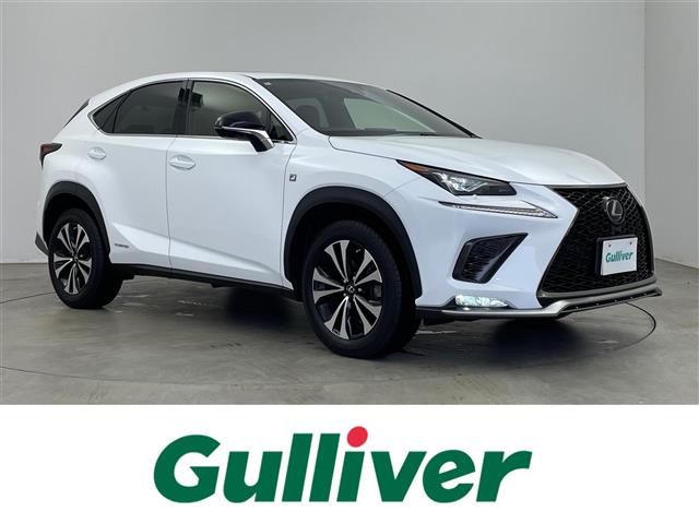 Lexus NX 1
