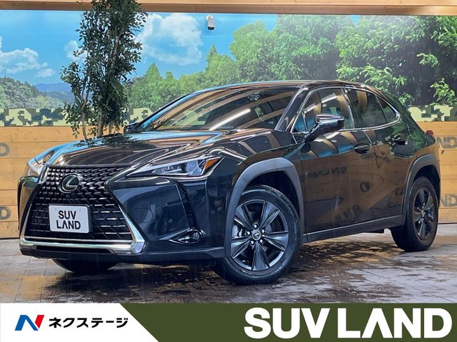 2021 Lexus UX