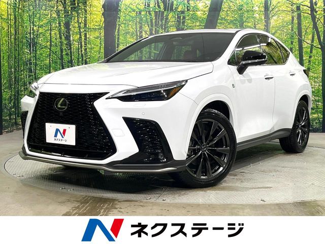 Lexus NX 1