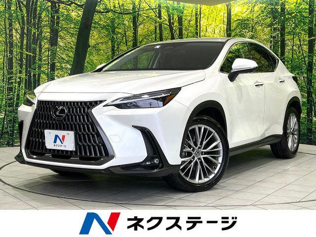 2023 Lexus NX