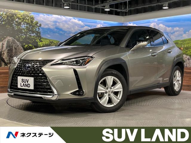 2019 Lexus UX