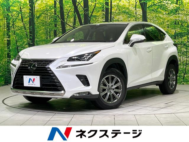 2020 Lexus NX