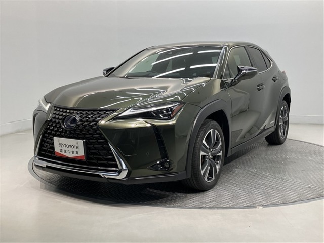 2019 Lexus UX