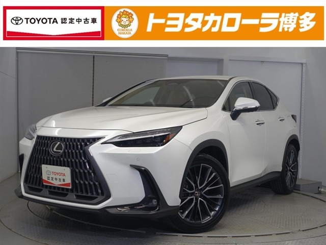 2023 Lexus NX