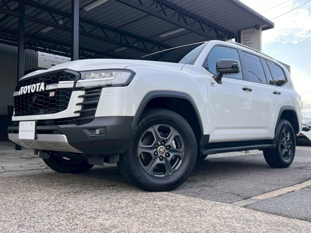 Toyota Land Cruiser 300 2