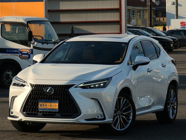 Lexus NX 1