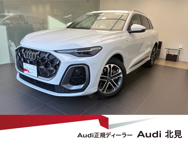 Audi Q5 1